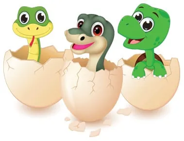 Cartoon snake, lizard and turtle hatching from eggs